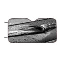 Wet Genesis Symbol Car Windshield Sunshade