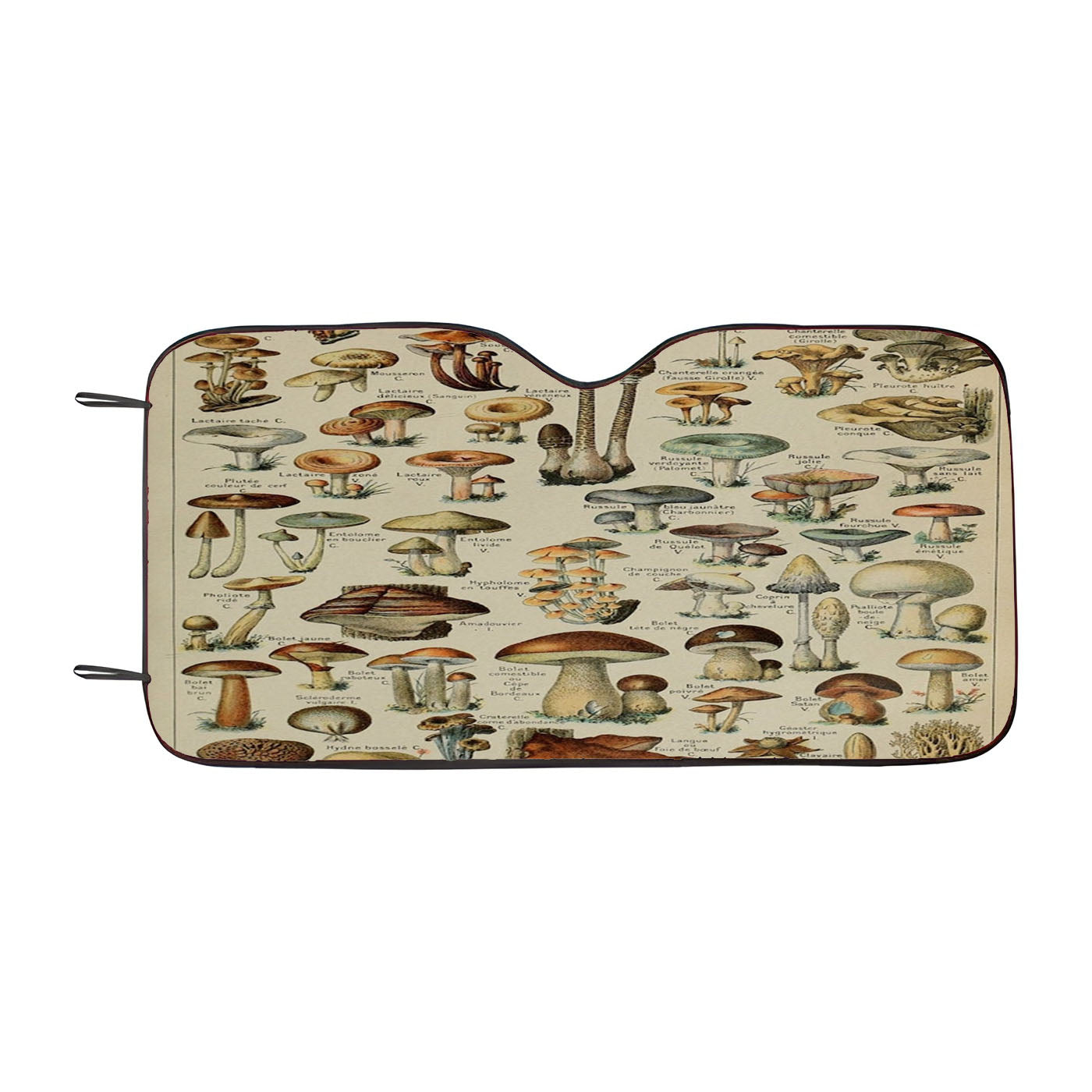 Adolphe Millot%27S Mushroom Car Windshield Sunshade