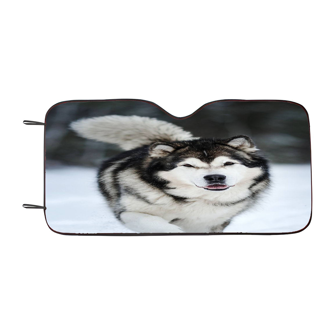 Alaskan Malamute Car Windshield Sunshade
