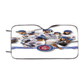 Chicago Cubs Legend Player Car Windshield Sunshade