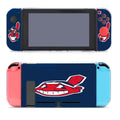 Indian Boy Face Nintendo Switch Cover Case
