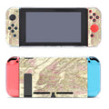Old New York City Map Nintendo Switch Cover Case